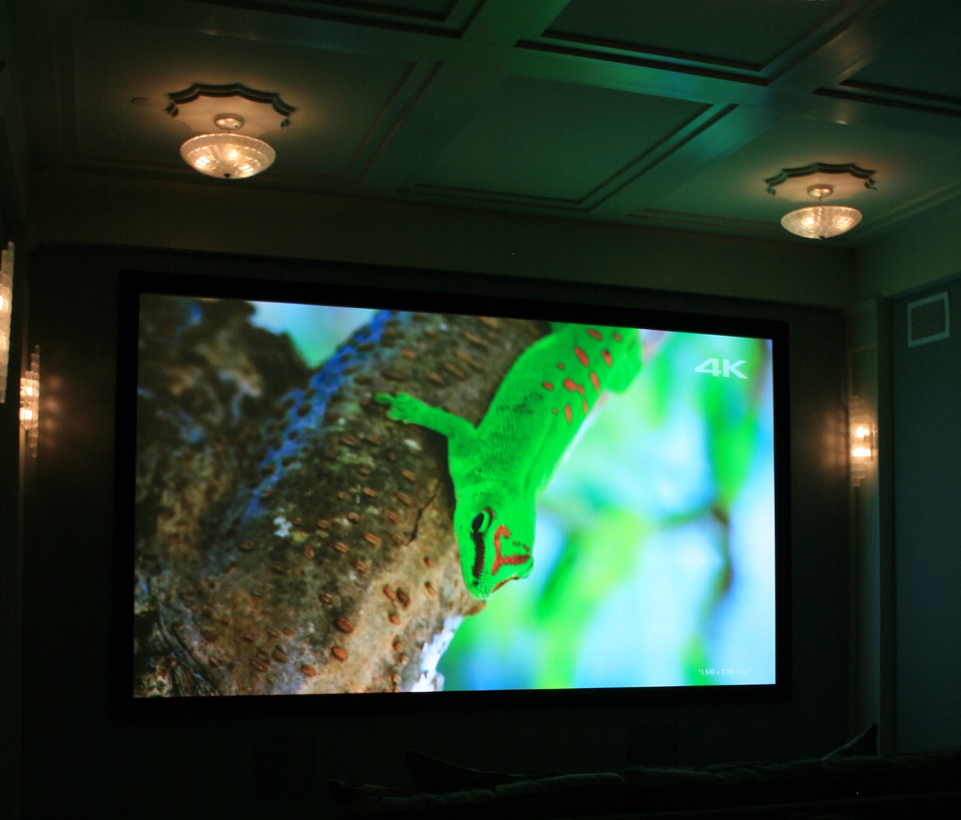 Home Theater Screen Security Plus Richmond VA